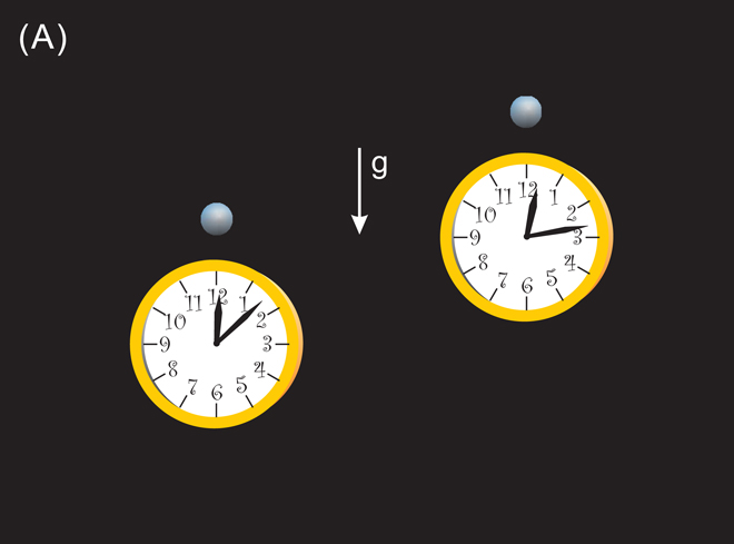 Fil:1192720Fig3A1.jpg