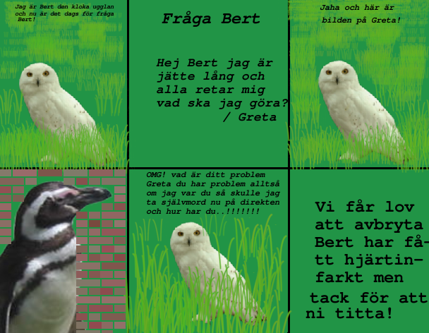 Fil:Bert1.png