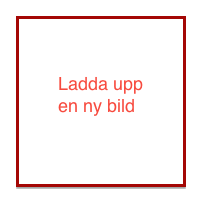 Fil:Ladda upp ny bild.png