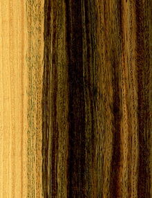 Fil:Lignum-Tree2.jpg