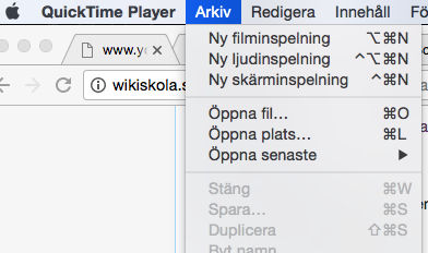 Fil:Skärmavbild 2017-04-04 kl. 11.05.17.png